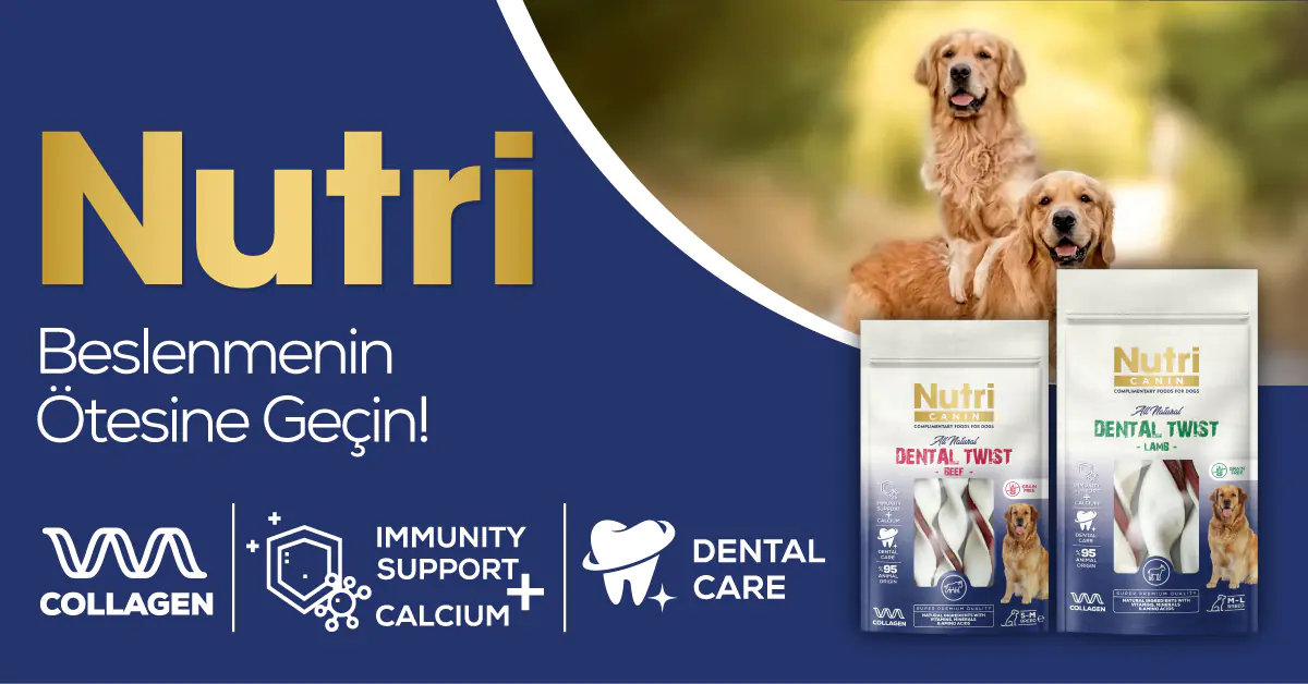 Nutri Canin Snack