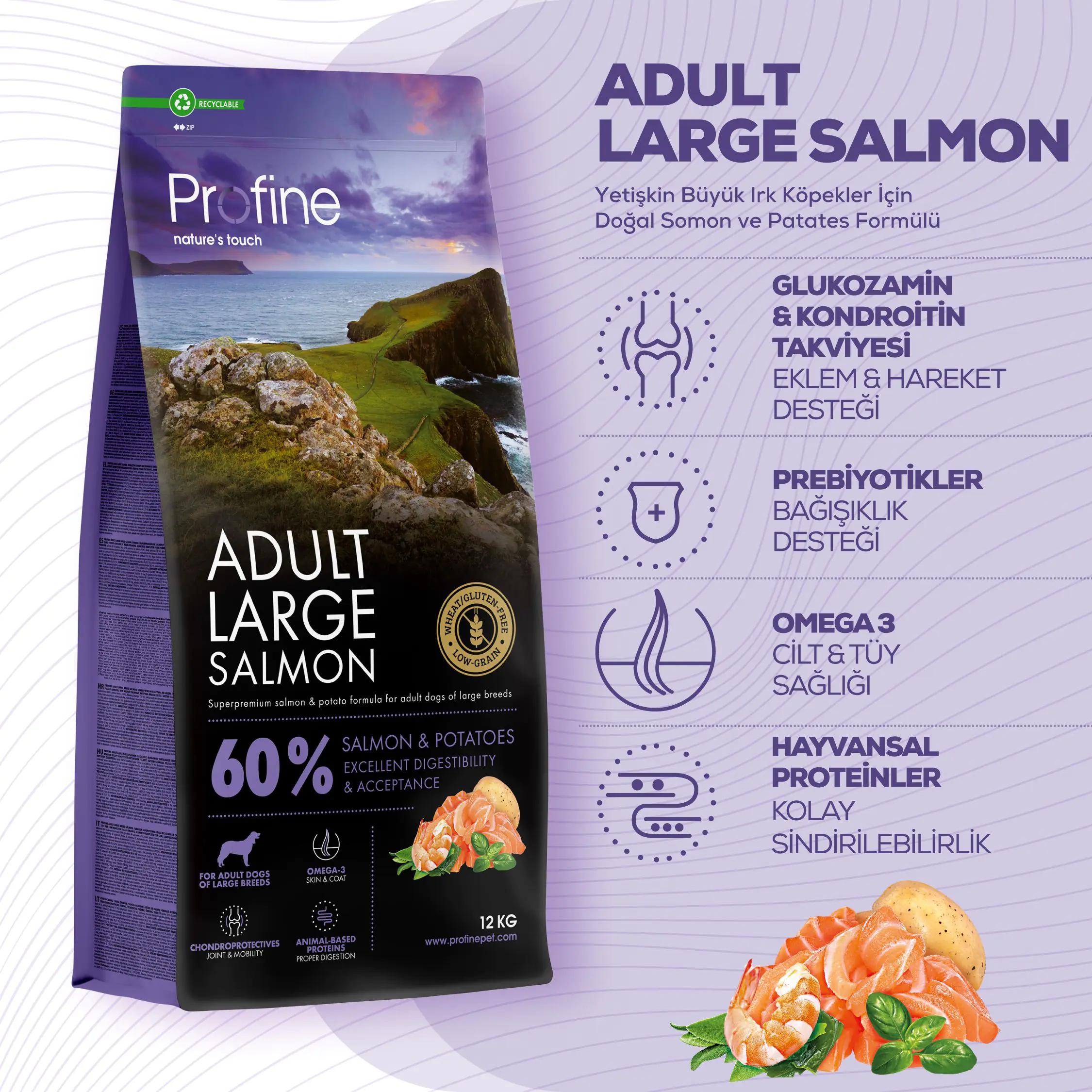 ADULT LARGE SALMON & POTATOES