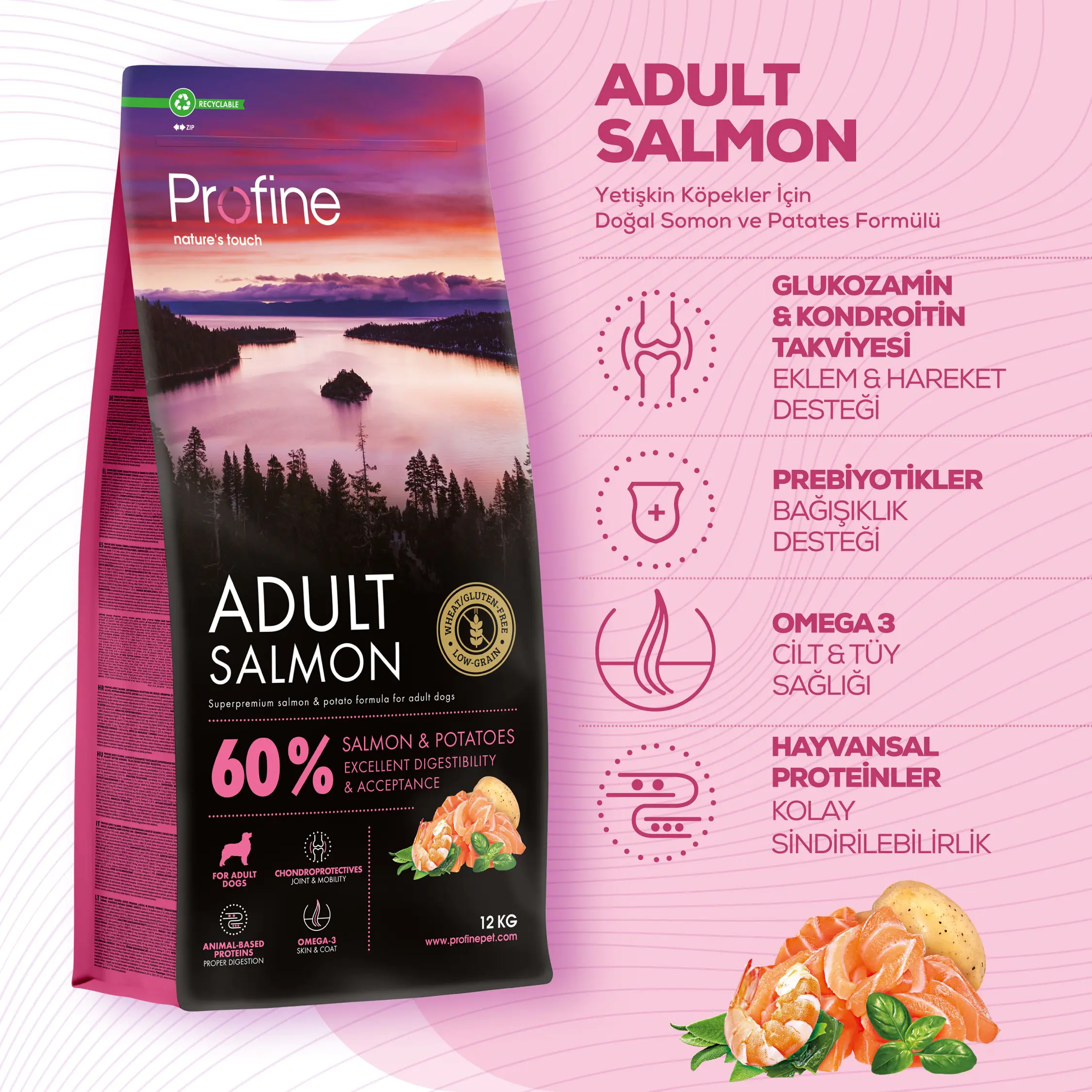 ADULT SALMON & POTATOES