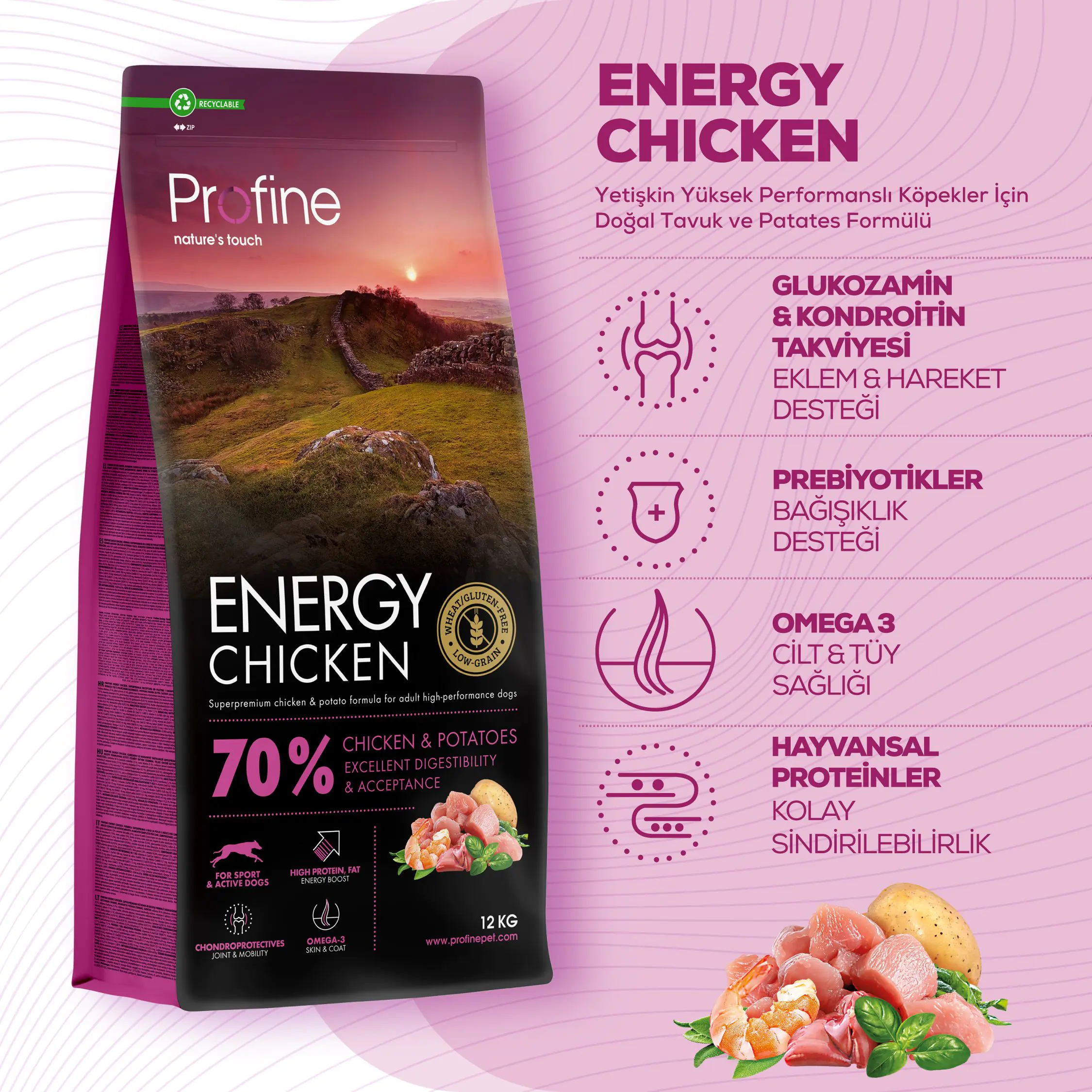 ENERGY CHICKEN & POTATOES