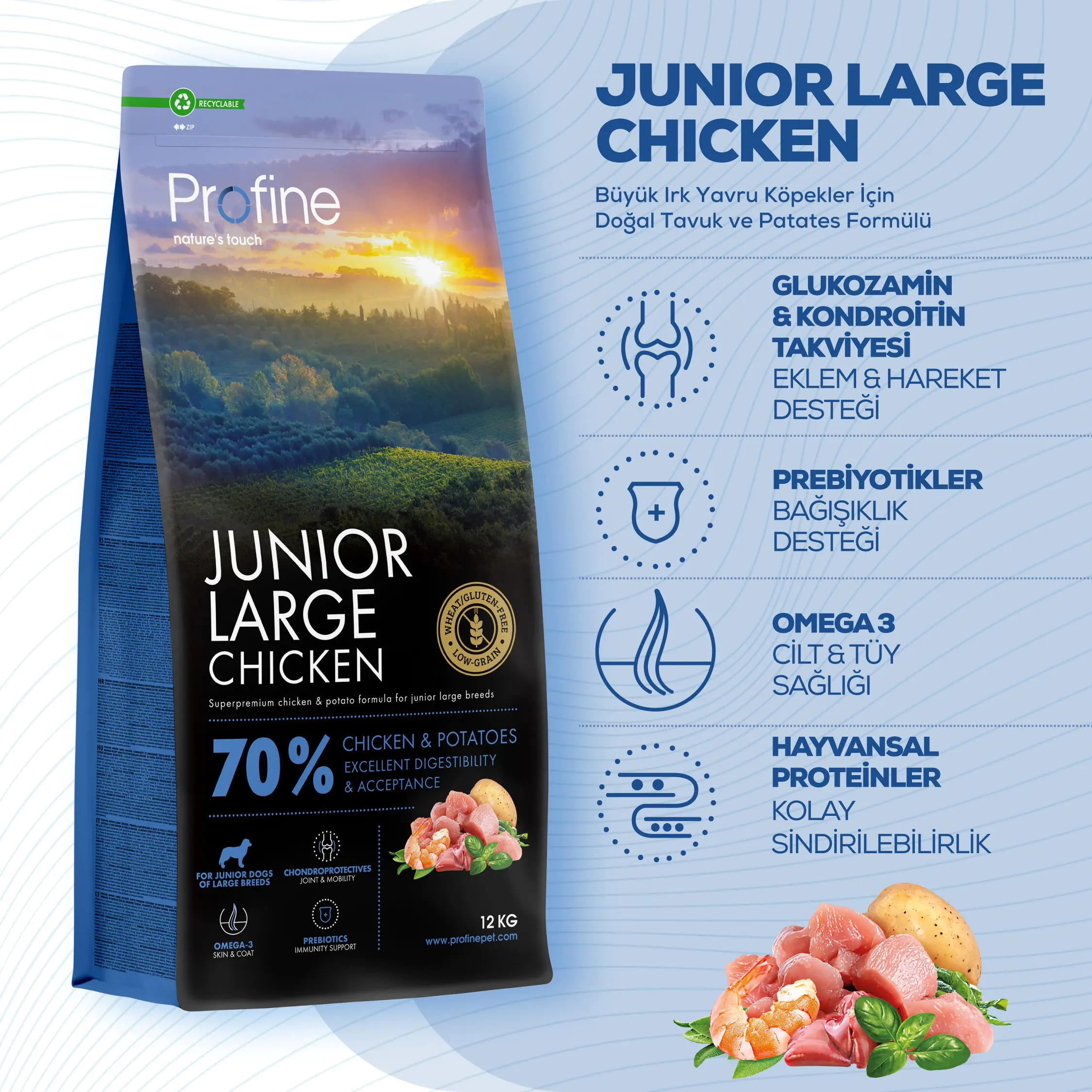 JUNIOR LARGE CHICKEN & POTATOES