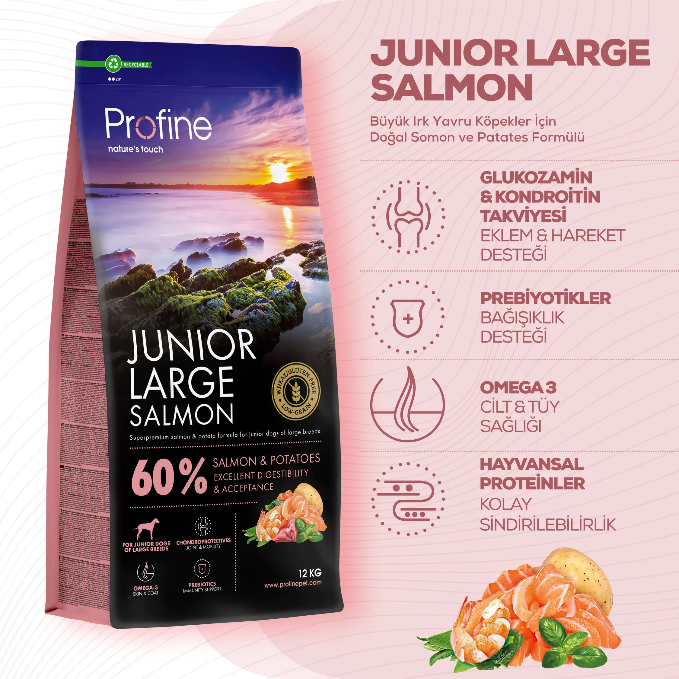 JUNIOR LARGE SALMON & POTATOES