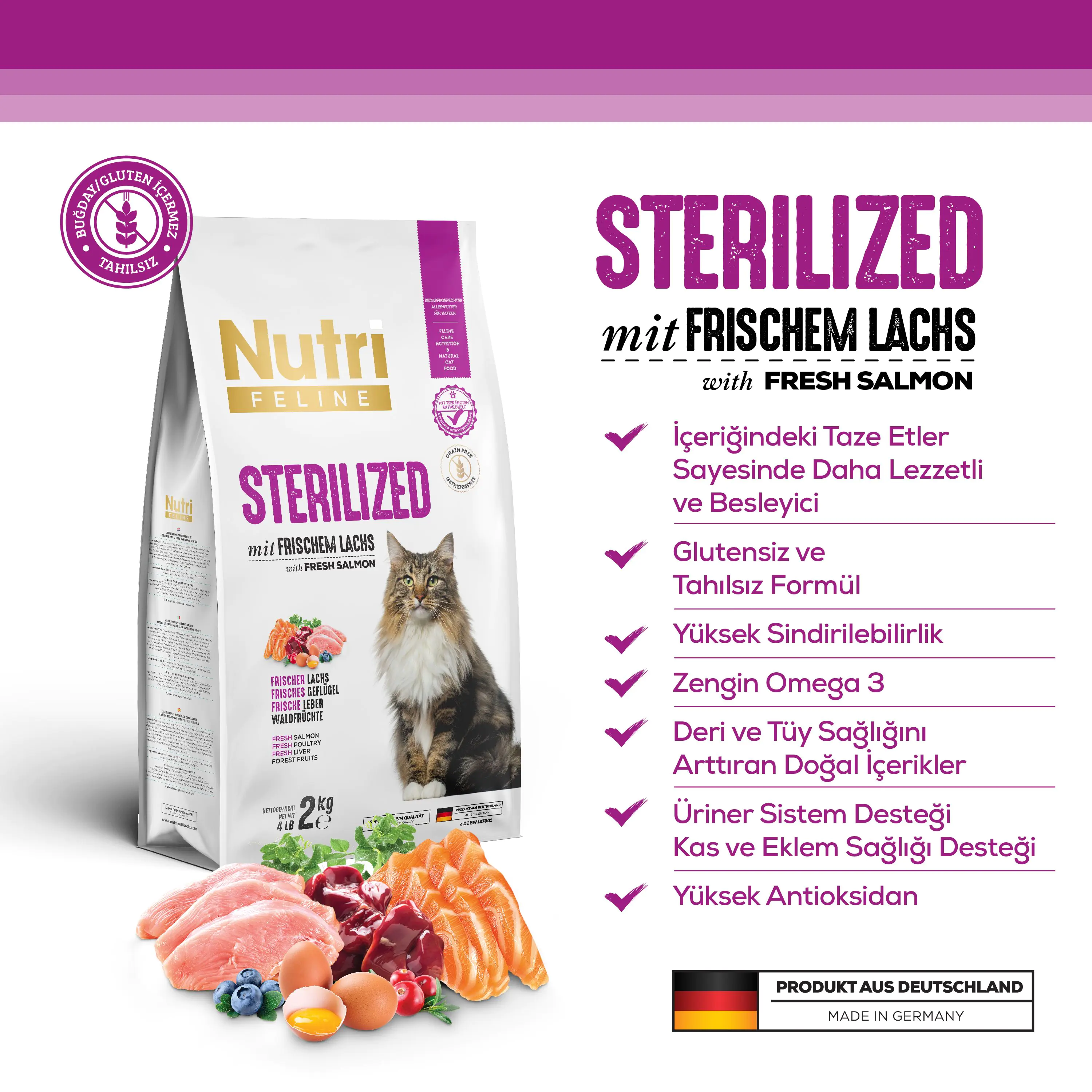 Nutri Feline Sterilized - Somon Balıklı Kısırlaştrılmış Kediler İçin